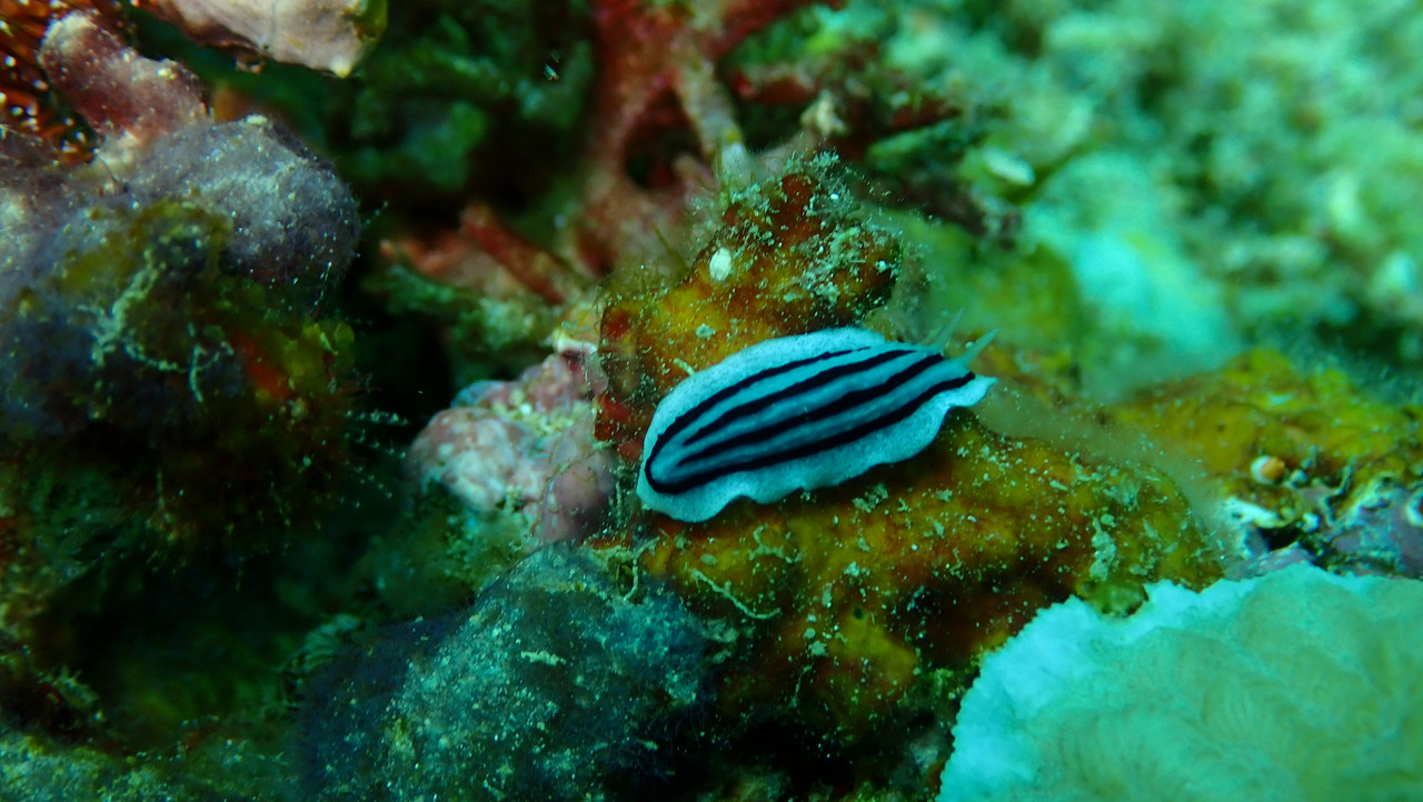 451B5061-A381-45A0-A39D-75E313599578