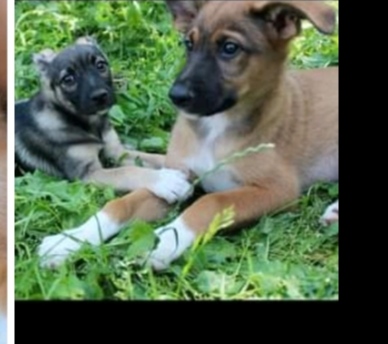 IMG-baa7c0e94eb06d490beee824c2e7c7e7-V