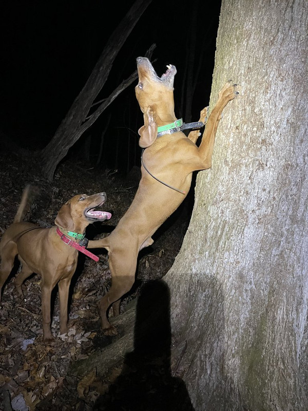 51628F23-559A-4420-ABEC-DC244F0C3B3F