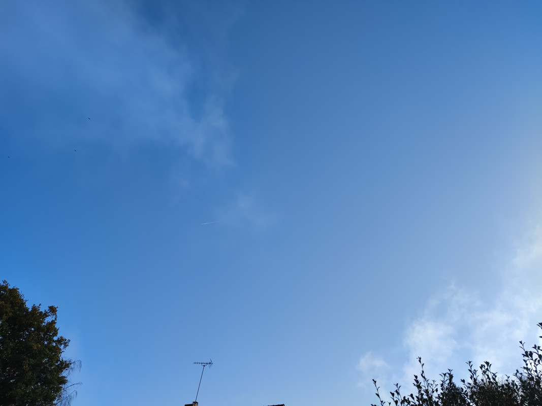 IMG-20241101-101114.jpg