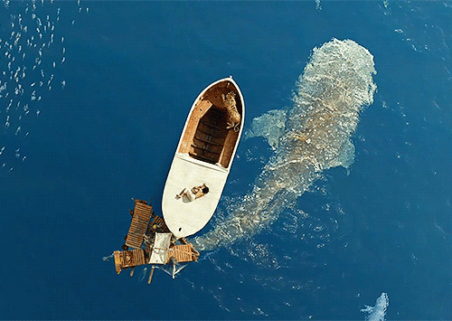 tumblr_mxrztsku3b1t0i1e4o1_500