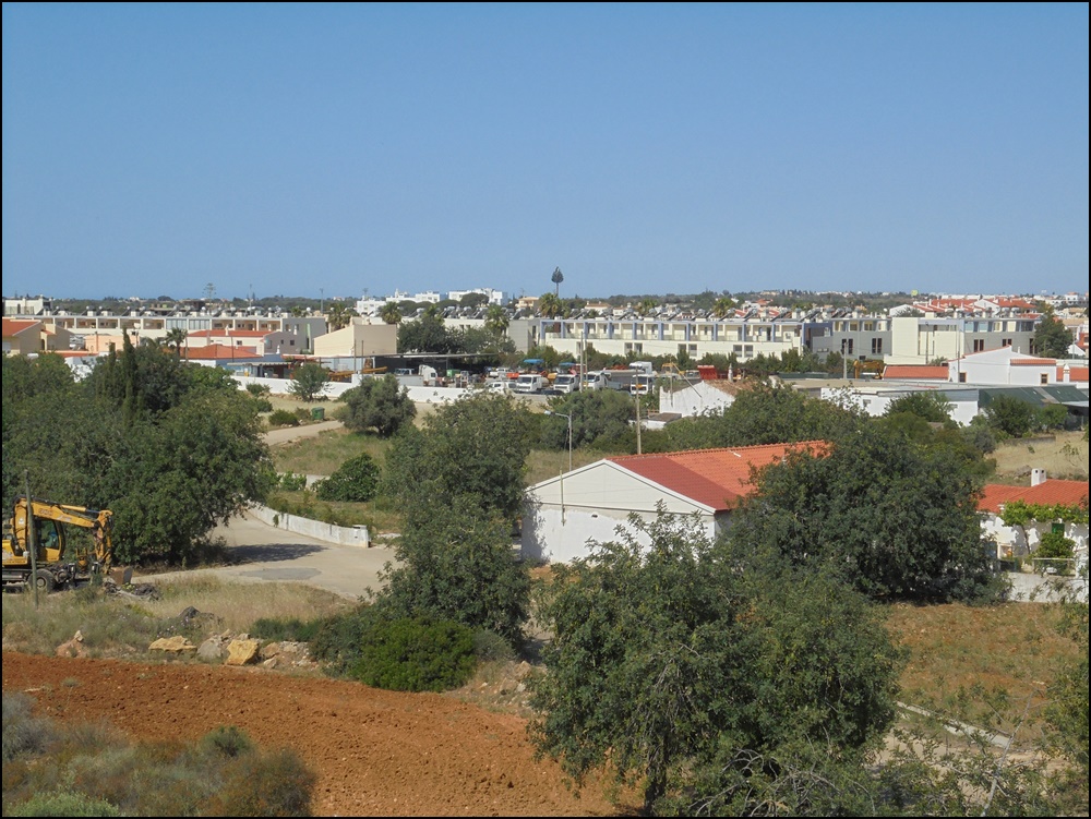 DSC09808
