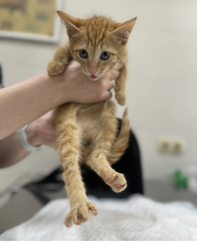 8C9AC2C6-81BA-4838-BAFB-E4F7E4497568