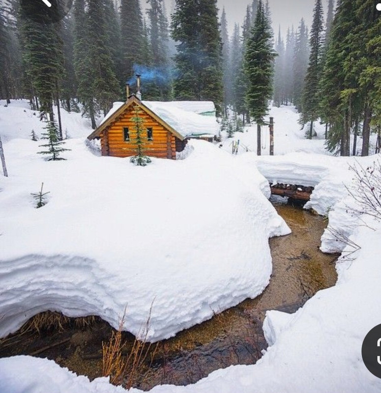 Screenshot_20231023_201555_Pinterest