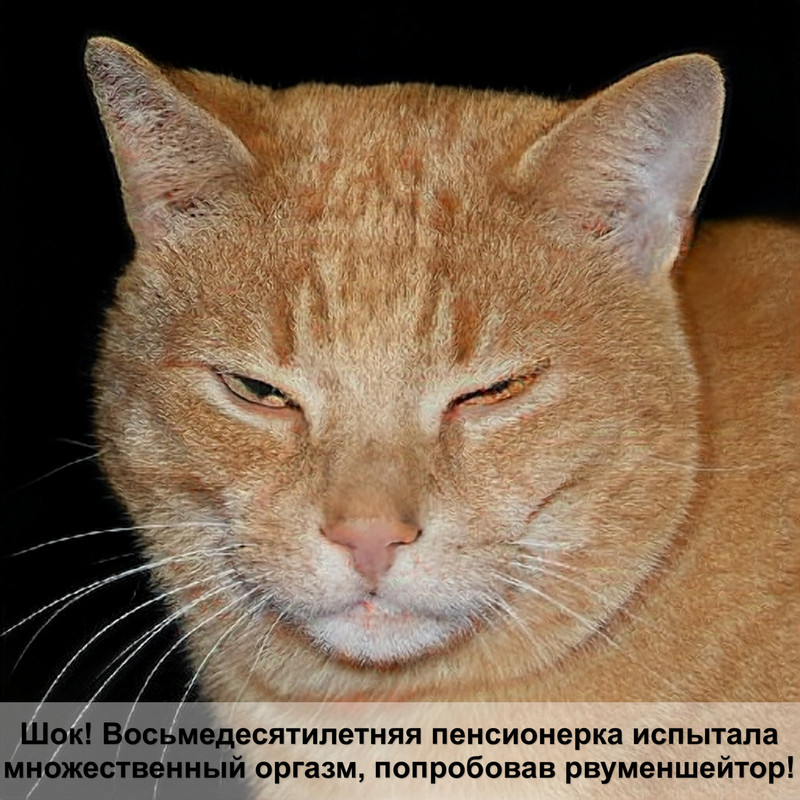 подушка для кота