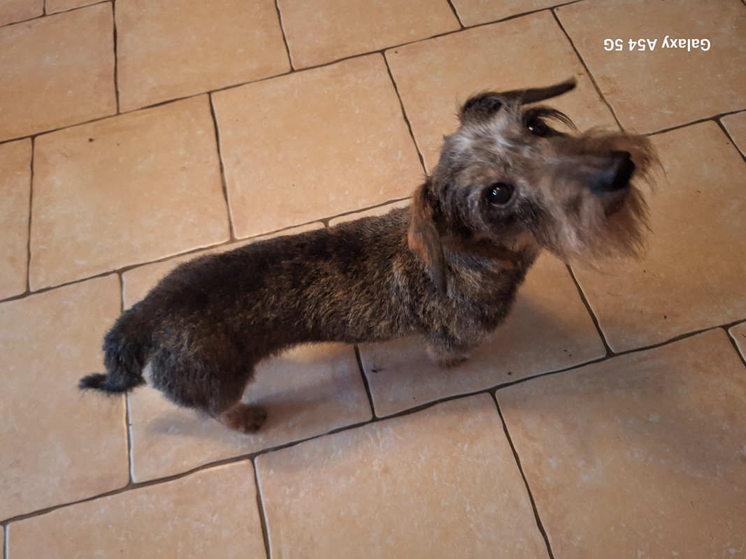 [Image: 20241126-102752.jpg]