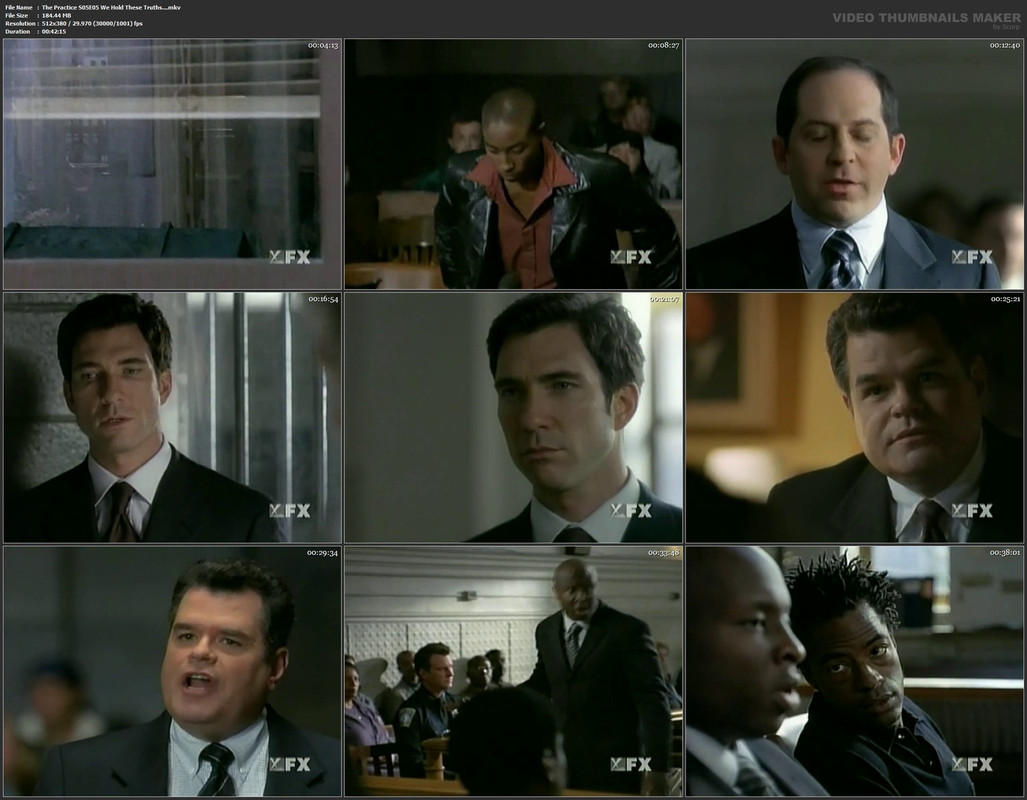 The Practice S05E05 We Hold These Truths....mkv
