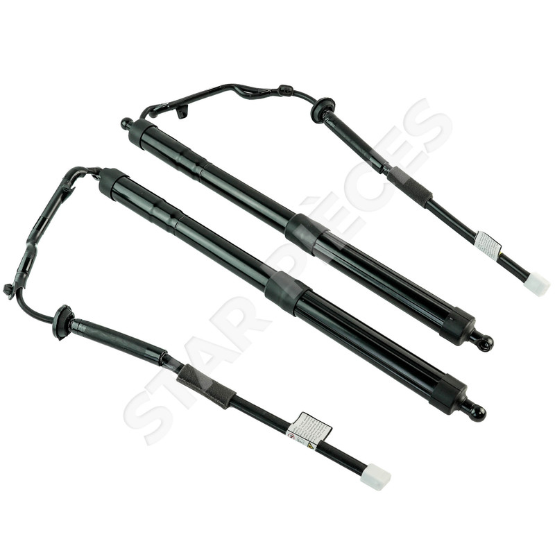 Lot de 2 verins de hayon-coffre Renault R14