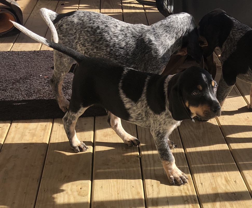 29BA7012-9F00-41DC-87DB-4E726089541F