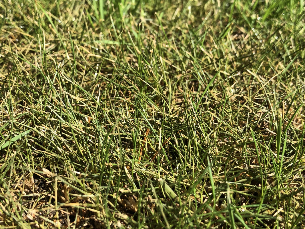 8D1ABAB6-3C53-4671-A348-004FFBC37F78