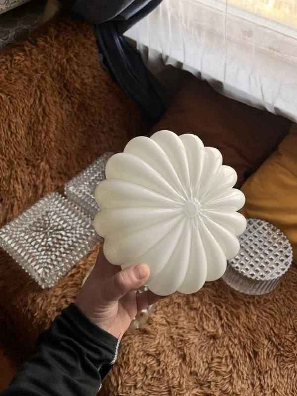 485360996_9359061797518663_7787312785722778373_n