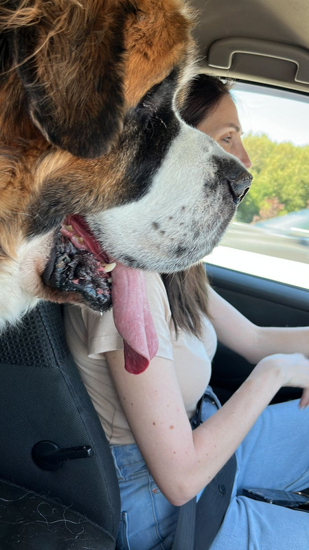 DC3B9CE8-885C-43B6-8300-F217A91979D6