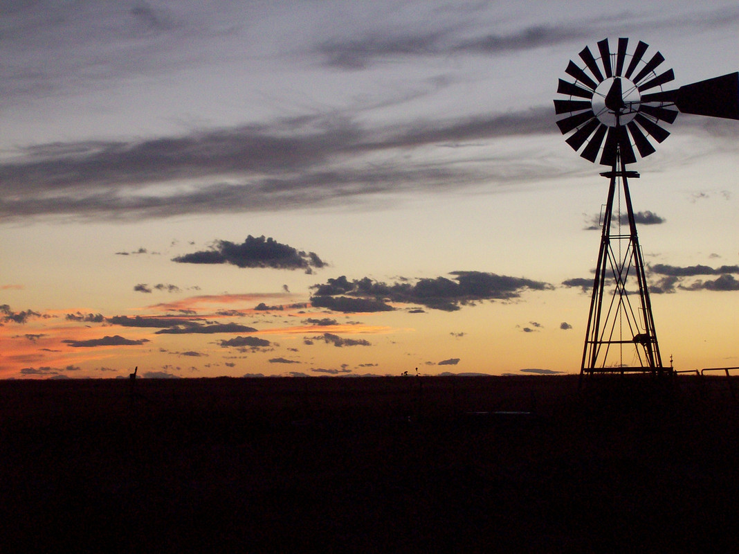 Antelope 2006 009