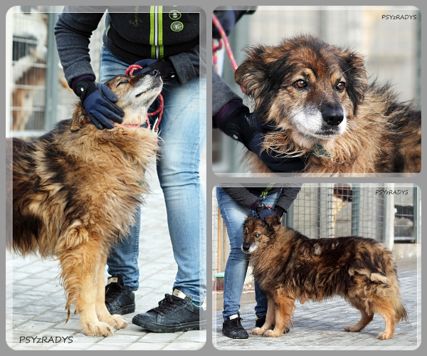 BeFunky-collage (15)