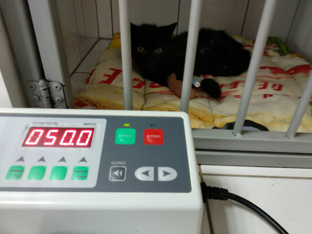 IMG-8f256f3ec7589b63c343618a7bc91e4d-V