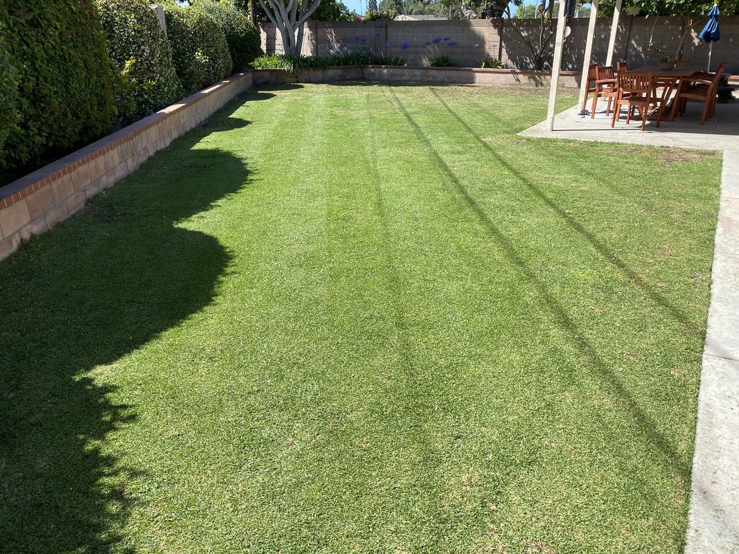 2051C1EF-0785-49A7-A1DD-4CE49DD30174