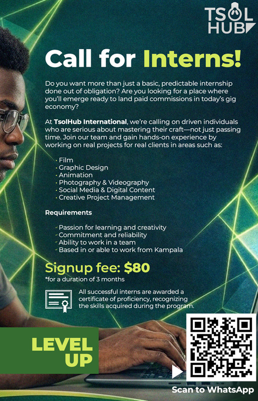 TsolHub Internship Program