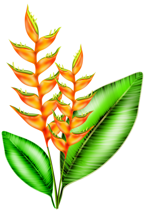 e15