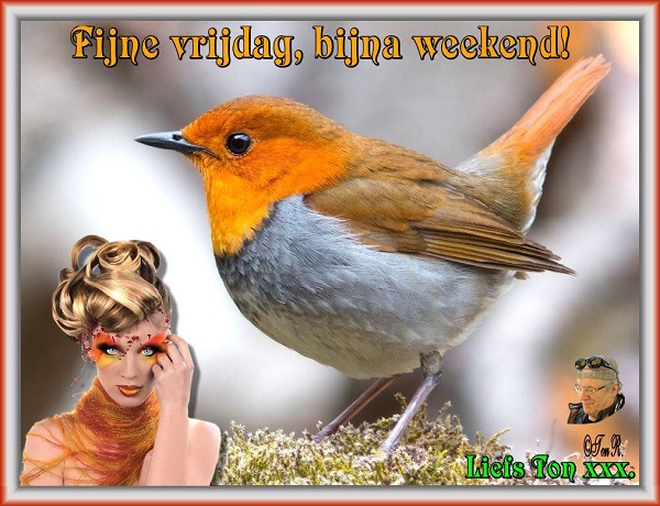 www.krabbelplaatjes.com