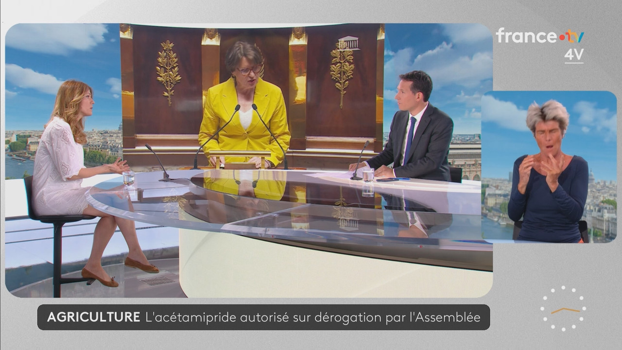 Journal 08h00 (France 2) 2026 07 21 06 55 81 ts snapshot 22 08 850