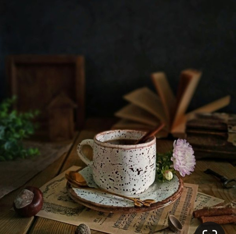 Screenshot_20240329_133358_Pinterest