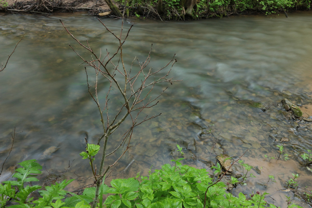 IMG_5582 (2592 x 1728)