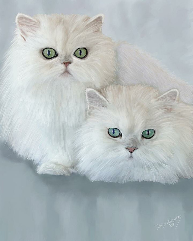 1-katrina-and-bjorn-david-wagner