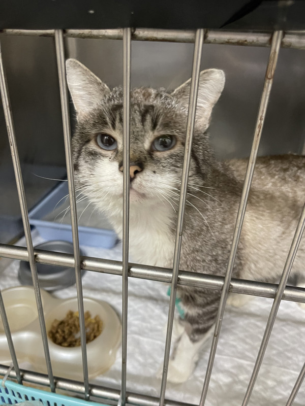 3C988163-0D76-4B02-B310-7C8A2C2DC6AC