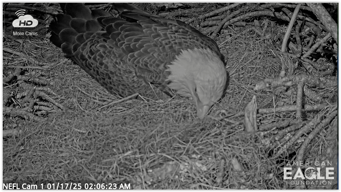 Screen Shot 01-17-25 at 08.06 AM