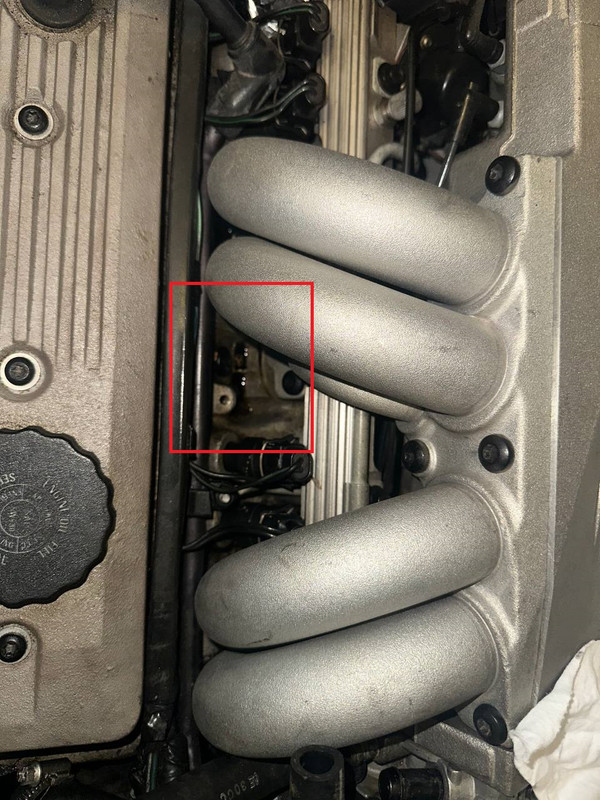 photo 2026 04 09 16 06 09