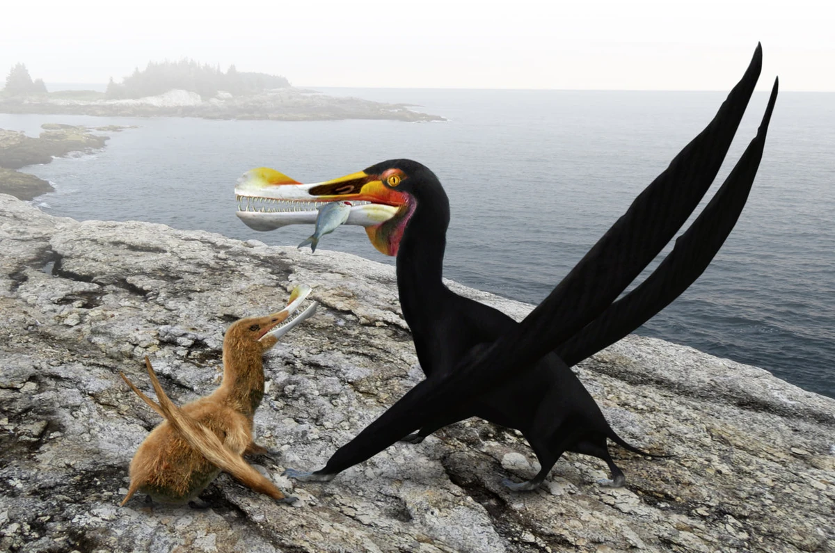 3F3F3F3F3F_3F3F3F3F3F3F3F3F3F29