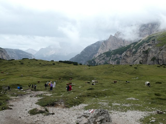 Dolomitas y noreste de Italia en verano de 2025 (En construcción) - Blogs de Italia - DÍA 3 – Tre Cime di Lavaredo (17)