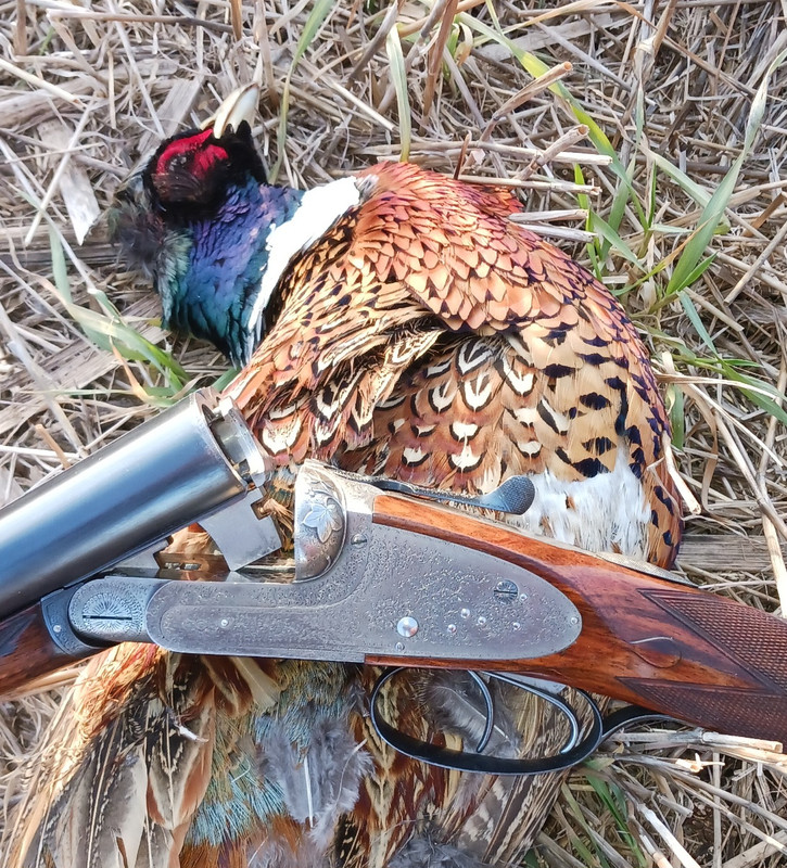 [Linked Image from i.postimg.cc]