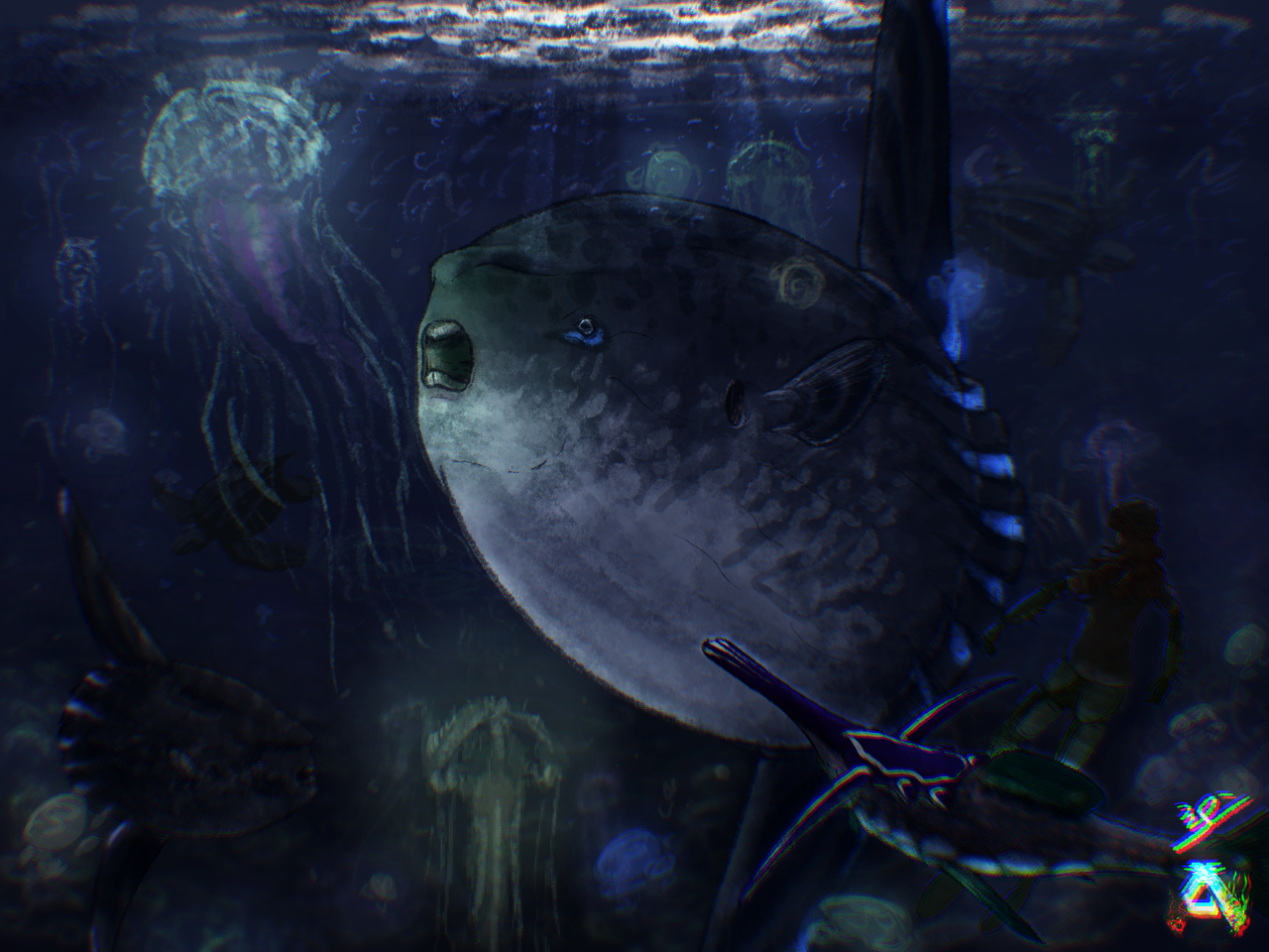 sunfish.png