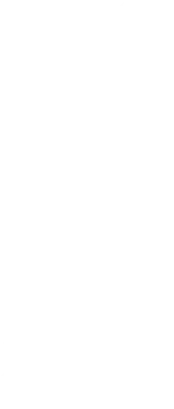 Indigo_Forget_me_not_el_52