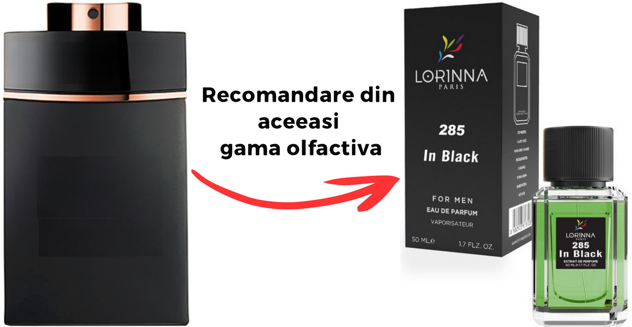 Parfum Lorinna In Black similar clona inspirat din Man In Black