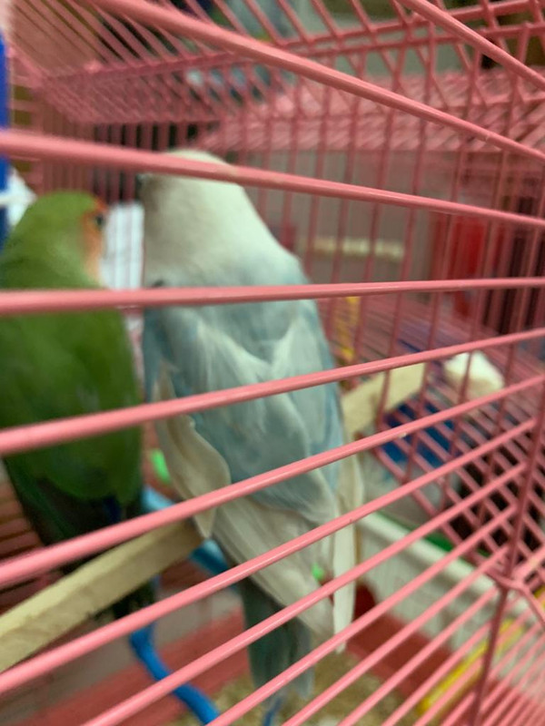 B003B241-DE53-405B-9B04-00E2E87E8699