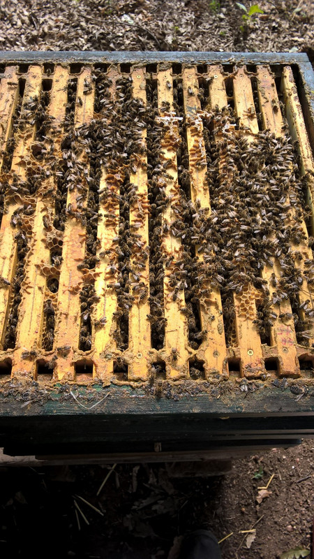 WP_20170905_15_20_05_Pro (1)