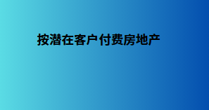 按潜在客户付费房地产