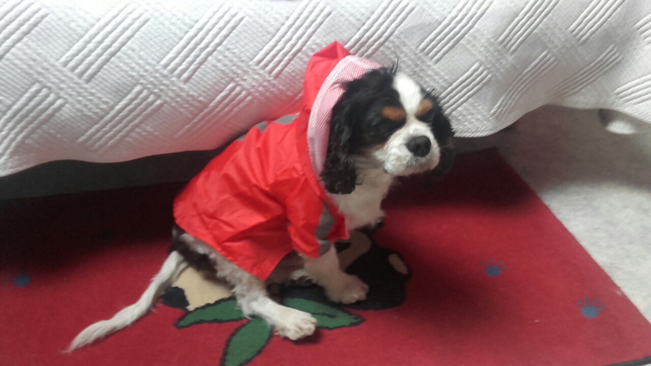 1B604ED3-D5C8-4AF8-B5A5-3084EB84862F