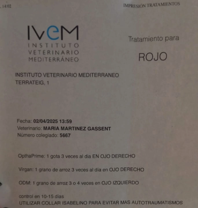 QqCkc1MTBg7EgAdBZpdIxGfrqycDm3xK1cq5-OoSBWAkqKvfrrVQ1xm5GfMmmnjKymZEYznl8BH3USLWd4_5pPrA