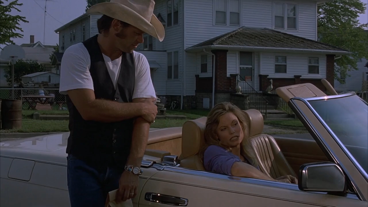 Falling from Grace 1992 WebRip [Hindi + Tamil + Telugu + English] 480p 720p ESub Screenshot