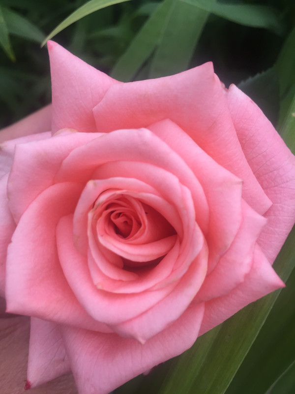 465DD7AA-171D-432B-BFE3-DC27036A0233