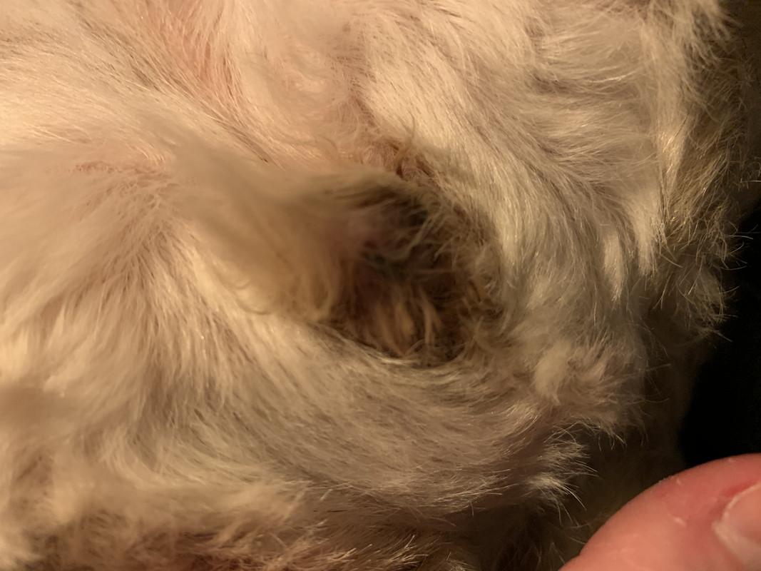 6953ECF1-F815-4D1D-9748-F3D410D7D7D5