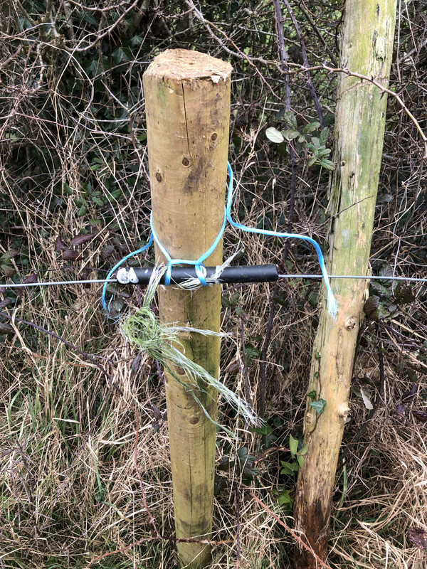 2A6CF671-DA33-48D2-892F-A01473E6BAD0