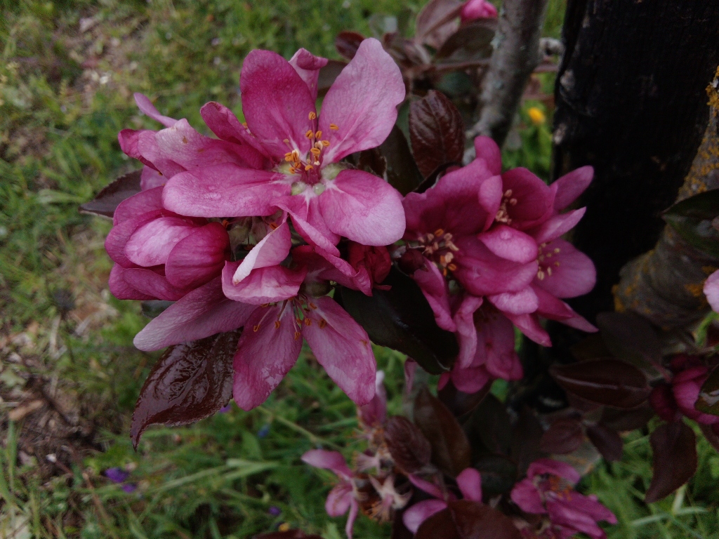 DSC_0149_resized_20190420_040449137