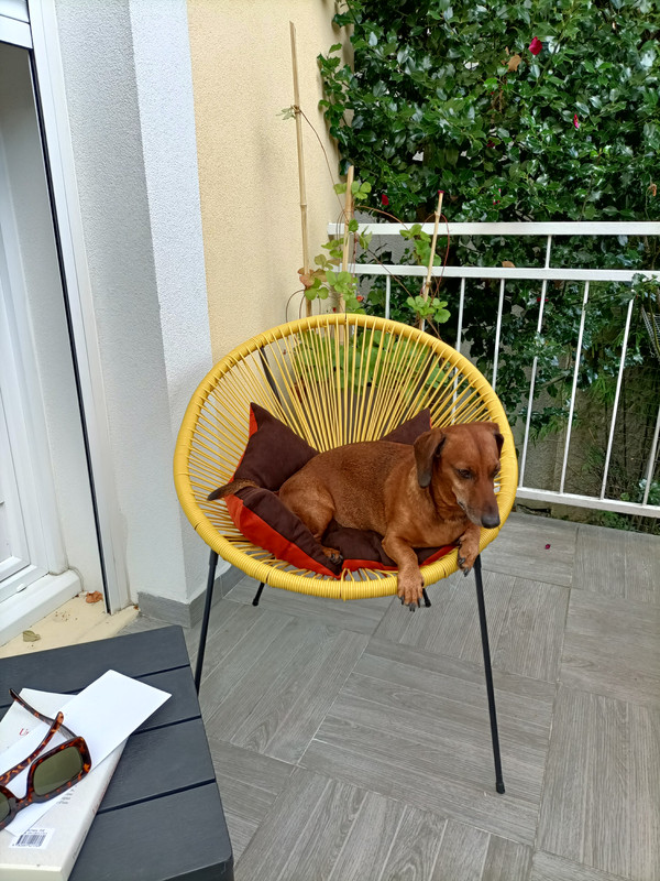 [Image: IMG20210815142332-1.jpg]