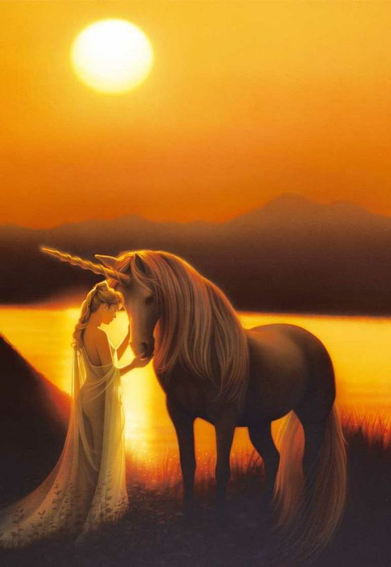 Unicorn-Sunset