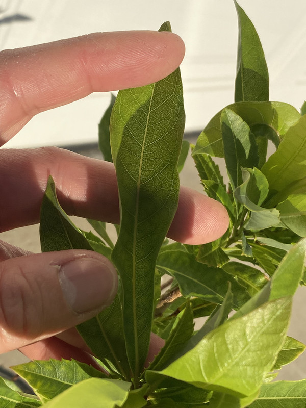 1B9C8358-8628-4E8E-A913-2D3CB3E0E7A3