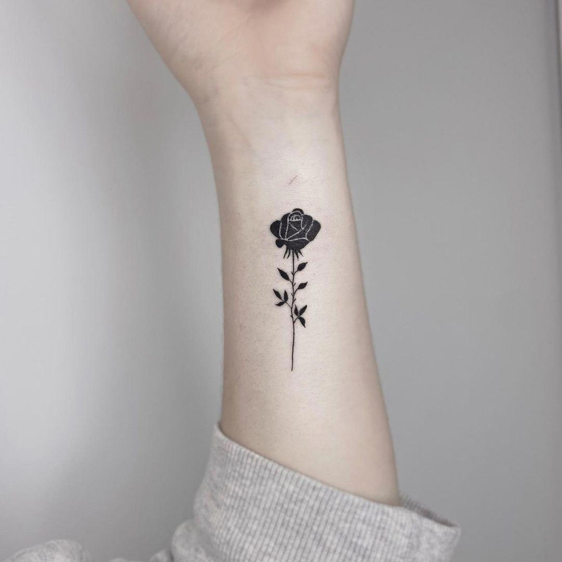 rosa